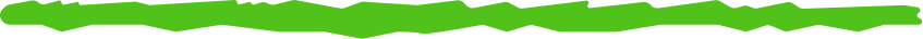 Decorative line